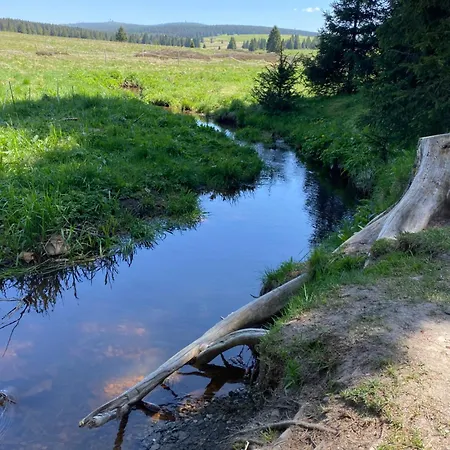 Leadro Апартаменты Курорт Обервизенталь